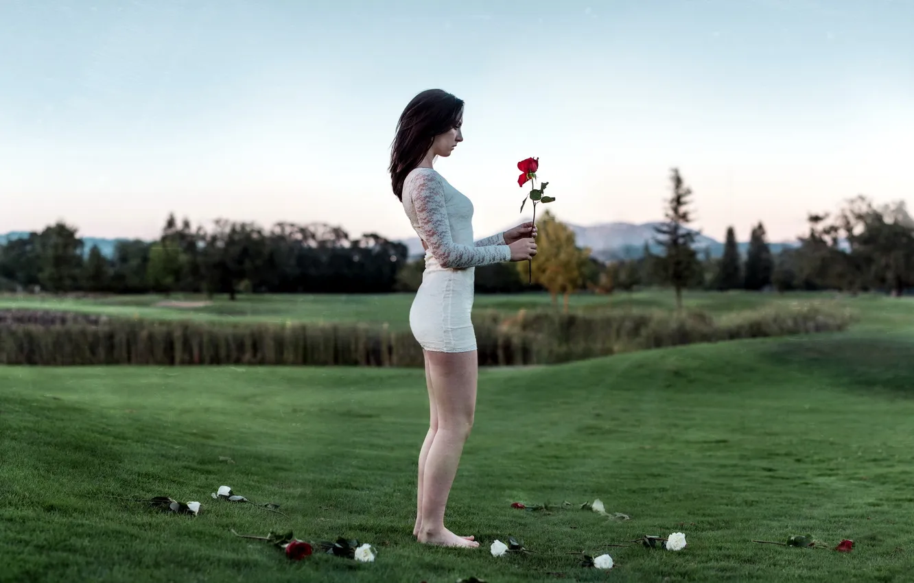 Photo wallpaper girl, background, roses