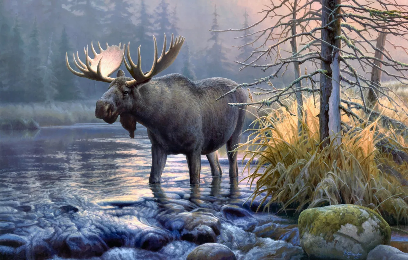 Photo wallpaper nature, picture, author, canvas, moose, Alexander