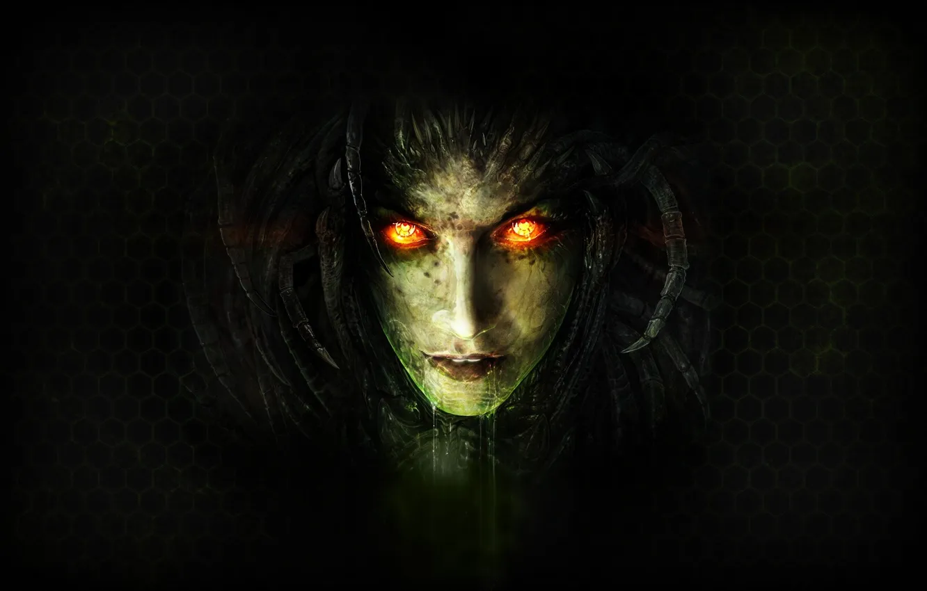 Photo wallpaper starcraft, zerg, Sarah, starcraft 2, Blizzard, background, StarCraft II, Heart of The Swarm