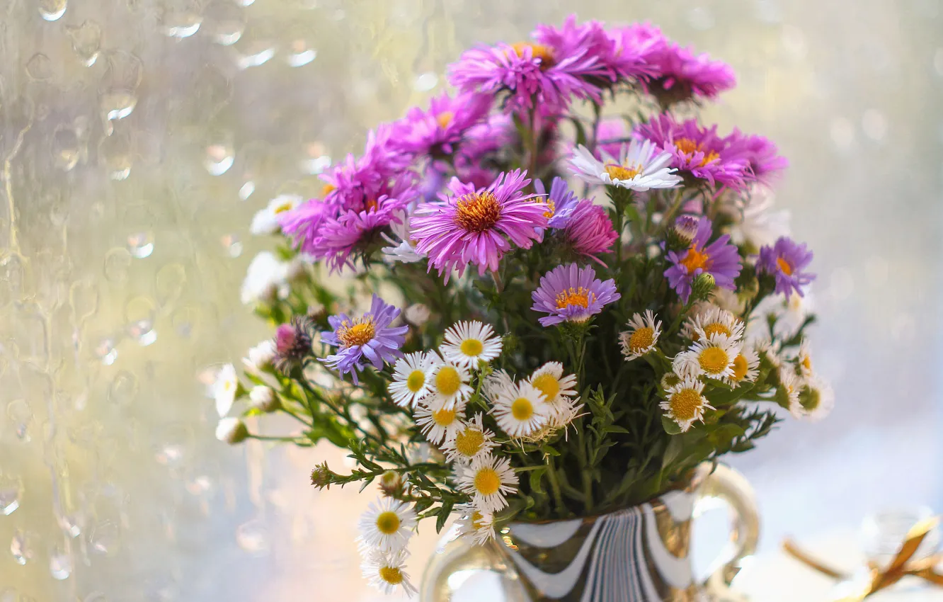Photo wallpaper flowers, chamomile, bouquet, pink, white, different, bokeh, asters