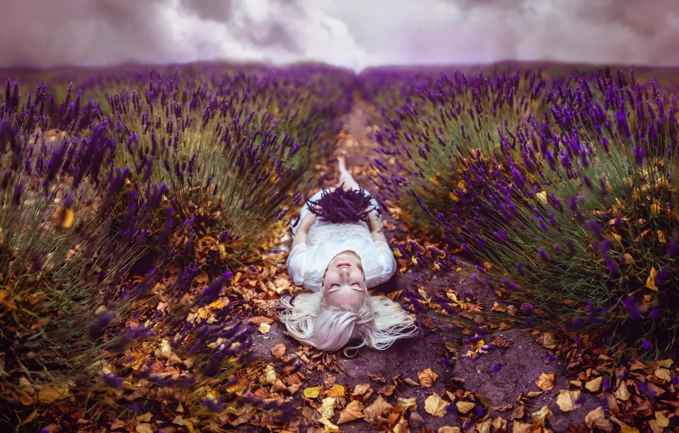 Photo wallpaper field, girl, flowers, the situation