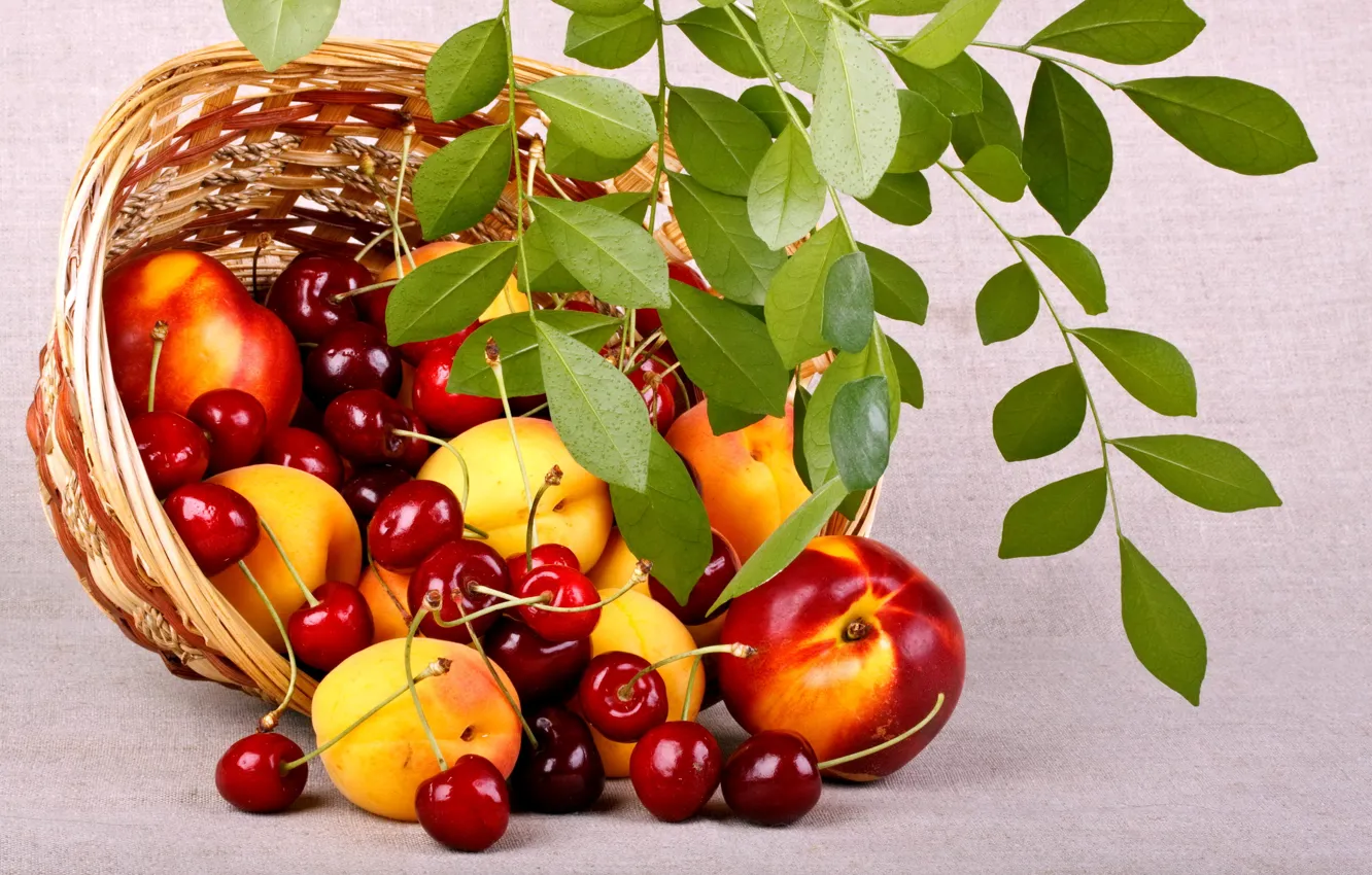 Photo wallpaper summer, leaves, nature, cherry, berries, basket, food, branch