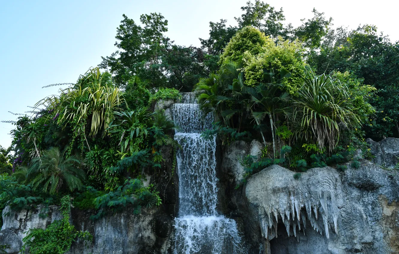 Photo wallpaper greens, the sky, trees, stones, palm trees, rocks, waterfall, the bushes
