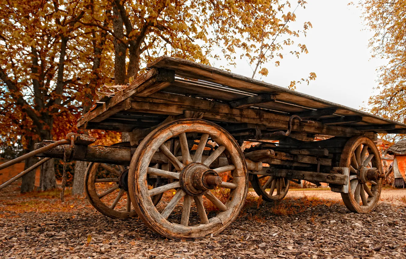 Photo wallpaper autumn, wagon, old