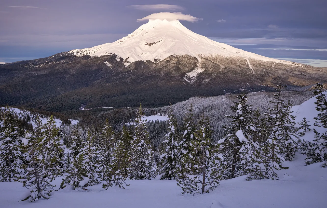 Photo wallpaper winter, forest, clouds, snow, trees, mountains, the volcano, Oregon