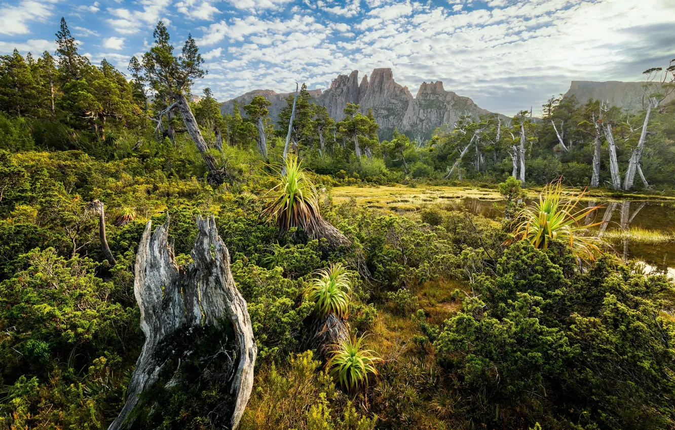 Photo wallpaper sunrise, Tasmania, Cradle Mountain–Lake, Mount Geryon