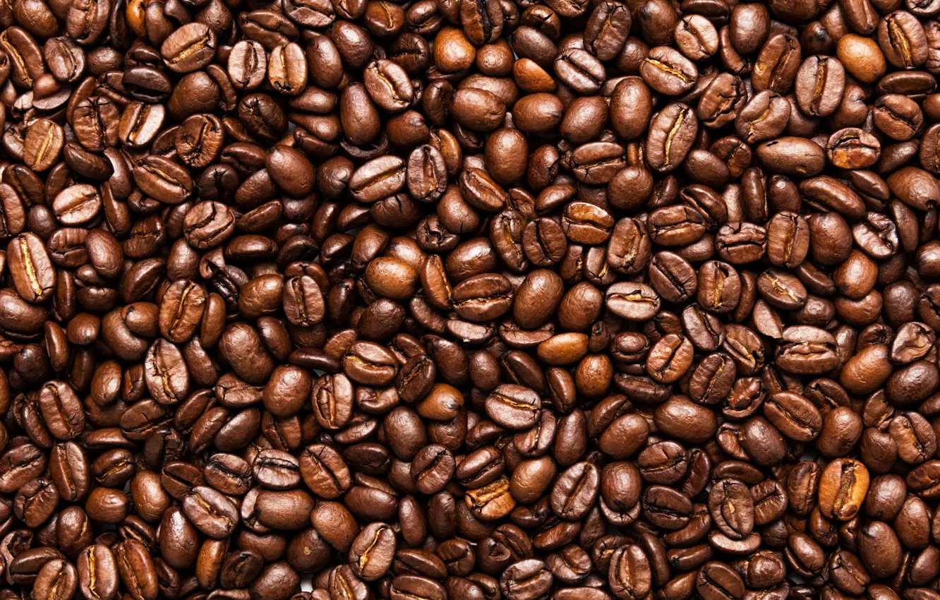 Photo wallpaper coffee, seeds, toasted