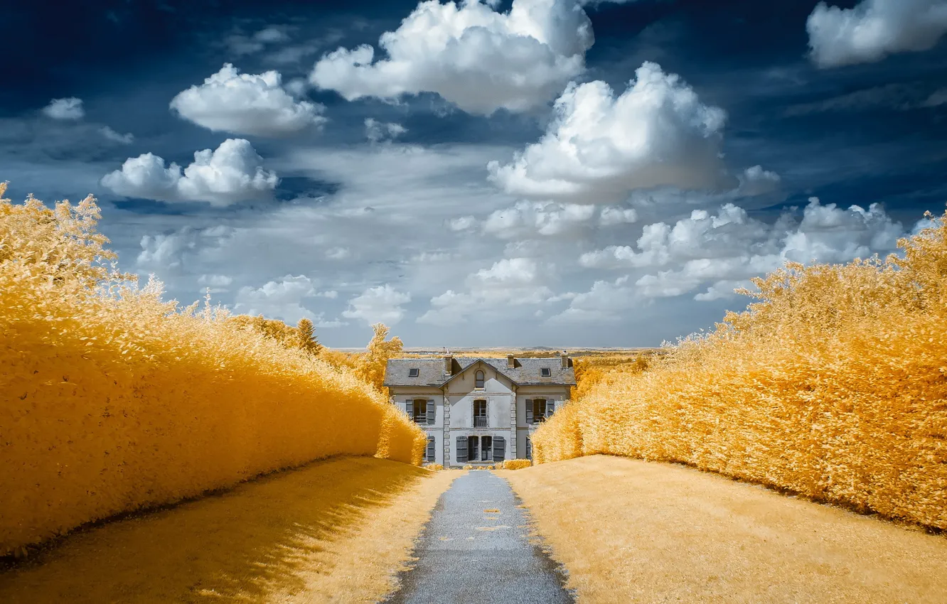 Photo wallpaper road, color, home