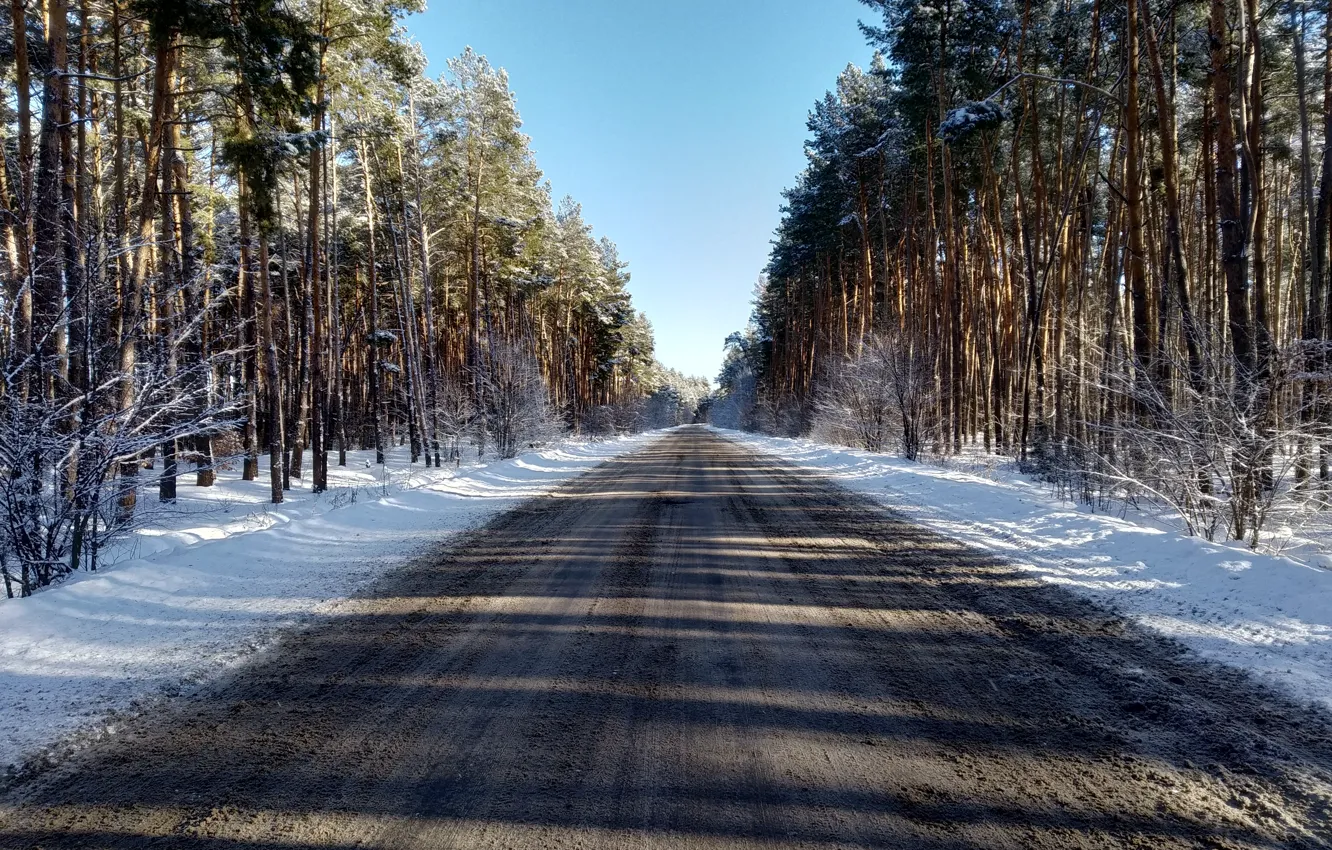 Photo wallpaper winter, road, forest, snow, pine