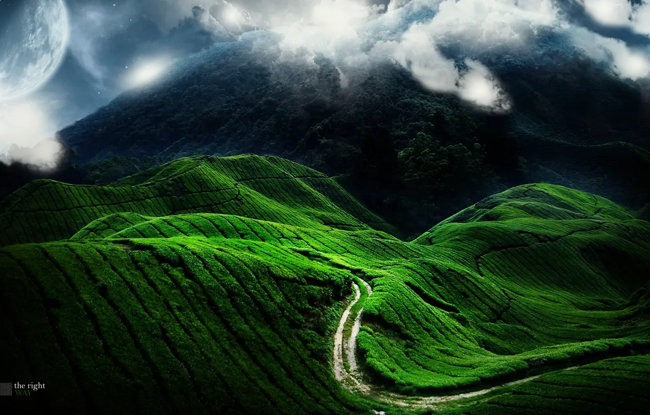 Photo wallpaper road, green, hills, planet