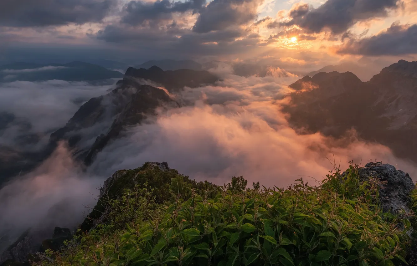 Photo wallpaper the sky, the sun, clouds, light, mountains, fog, stones, open