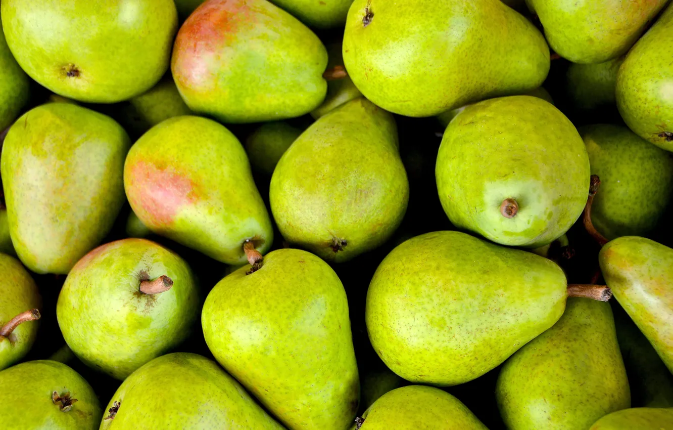 Photo wallpaper green, fruit, pear