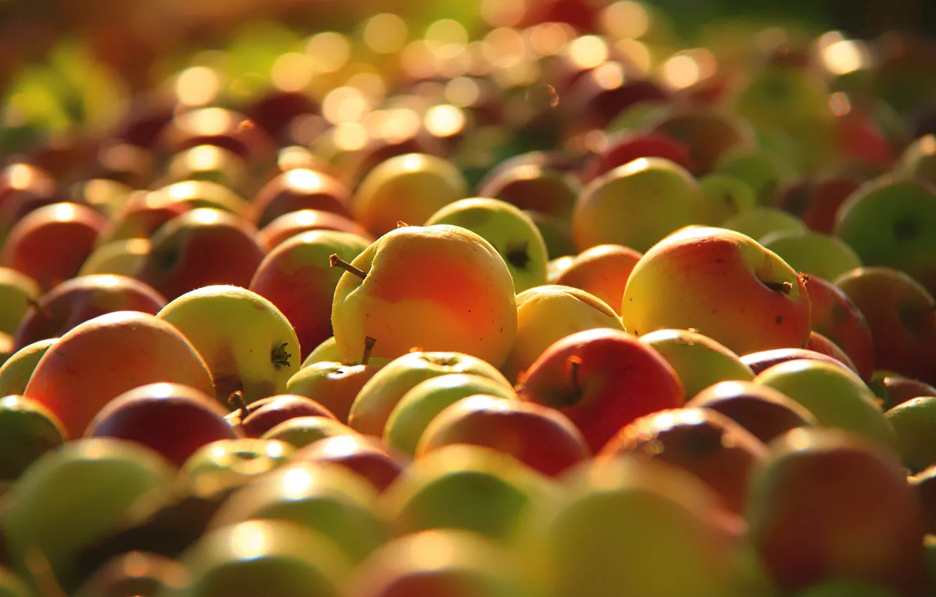 Photo wallpaper apples, yellow, harvest, red, fruit, juicy, scattered, liquid