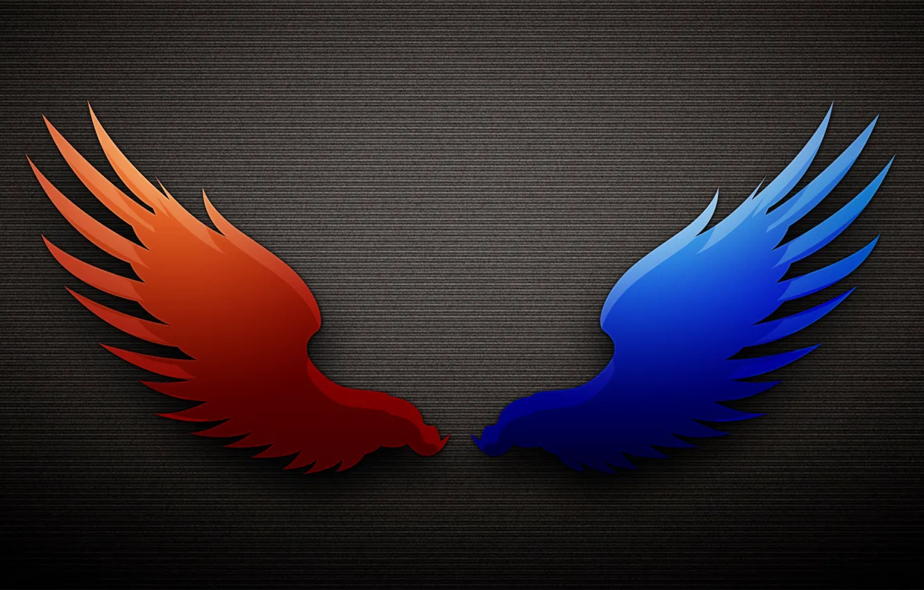 Photo wallpaper blue, red, wings, the dark background