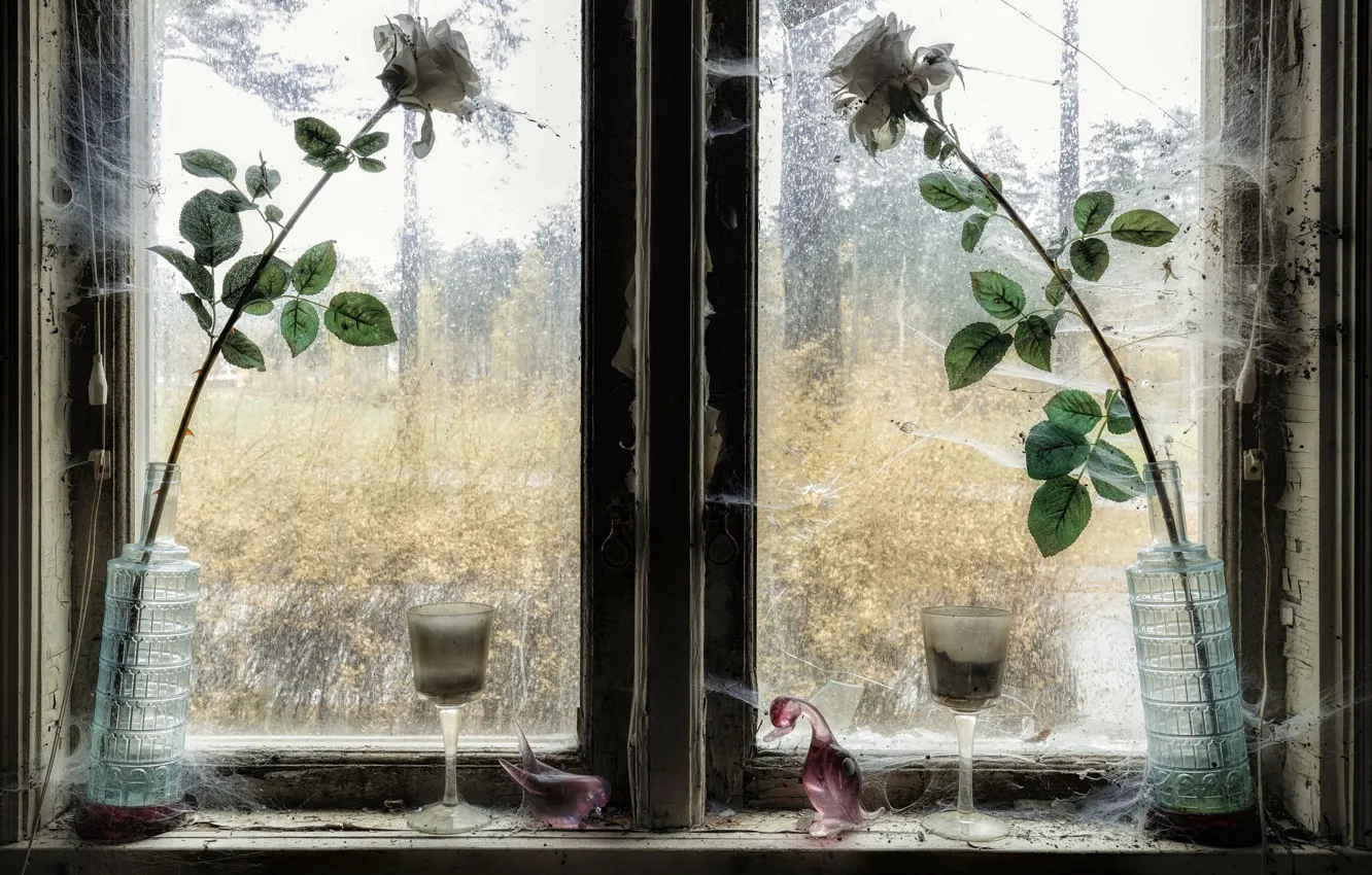 Photo wallpaper flowers, roses, window