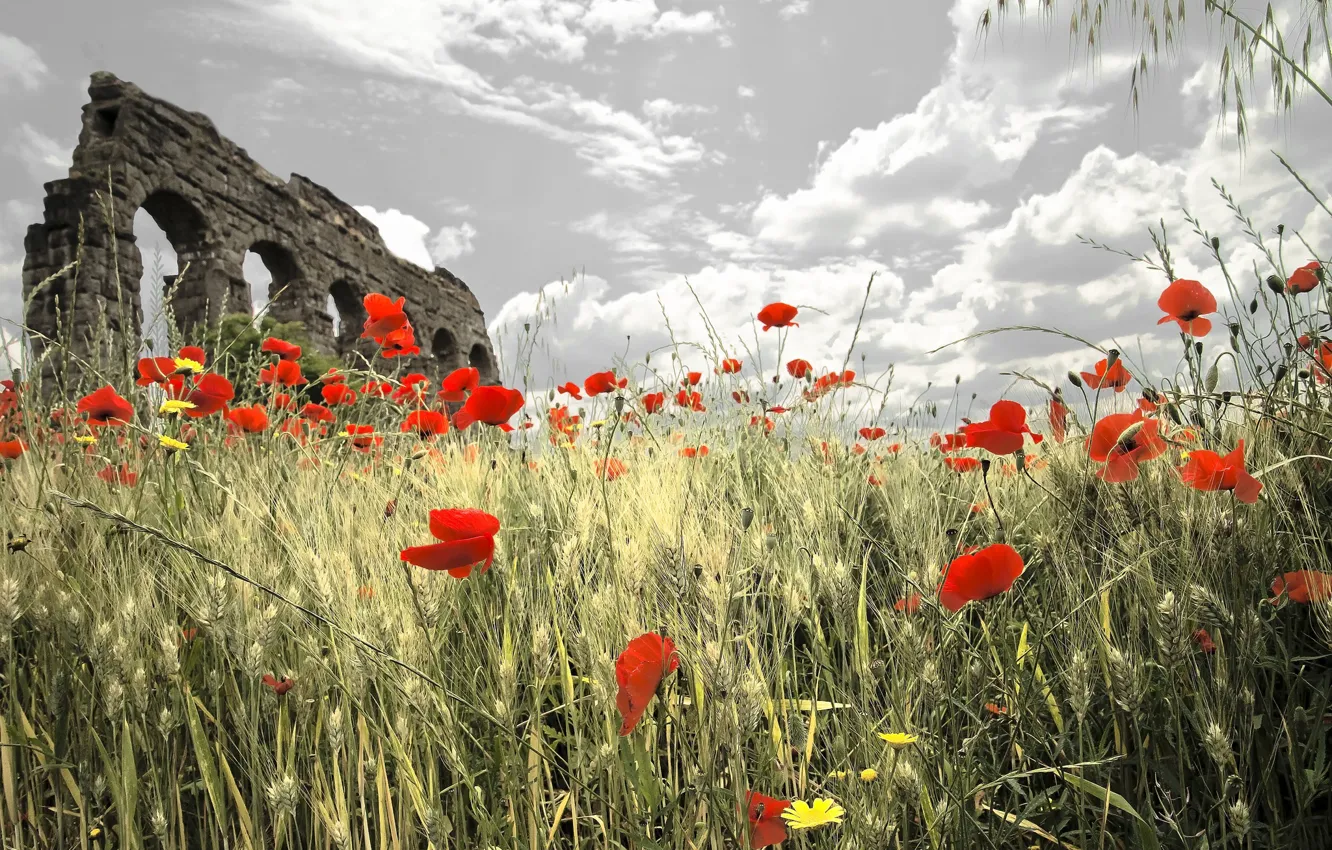 Photo wallpaper summer, Maki, ruins