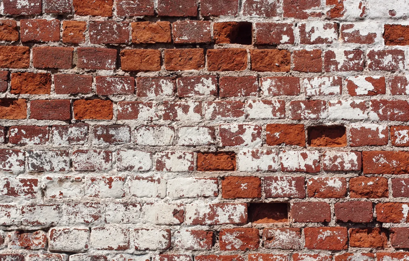 Photo wallpaper background, wall, texture