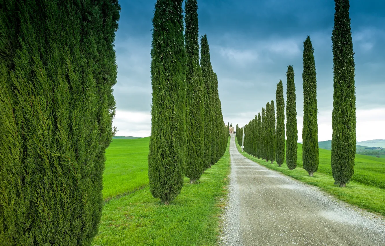 Photo wallpaper road, field, the sky, trees, clouds, Italy, cypress, Tuscany