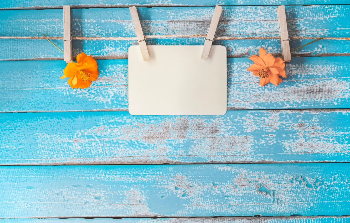 Photo wallpaper flowers, paper, background