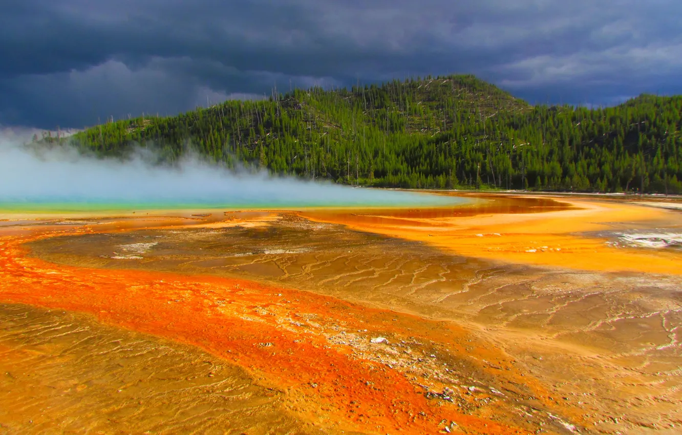 Photo wallpaper forest, the sky, trees, clouds, lake, USA, geyser, Yellowstone national Park