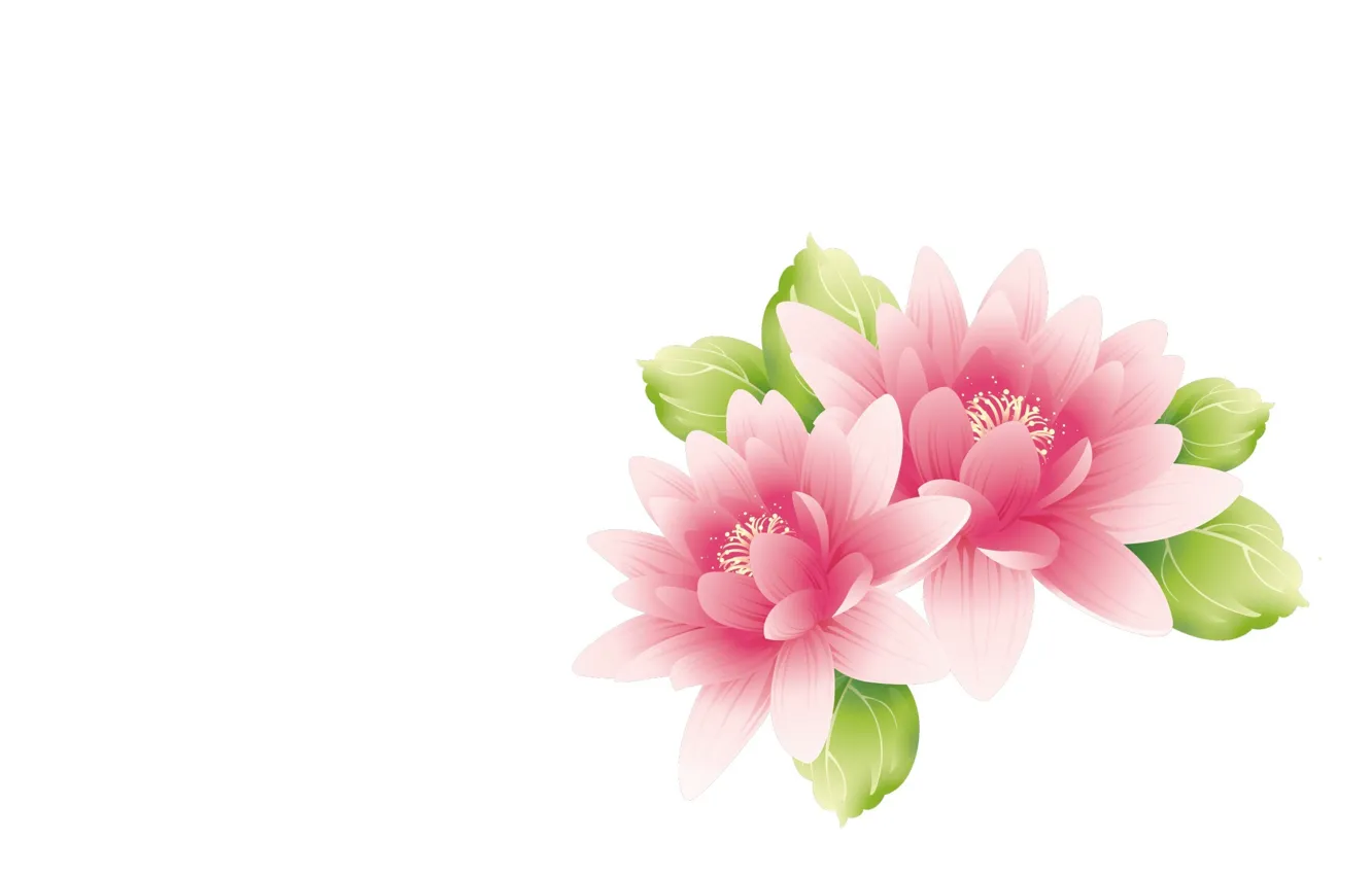 Photo wallpaper flowers, art, Lotus