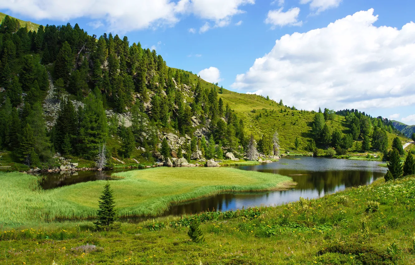 Photo wallpaper forest, summer, nature, lake, hills, Austria