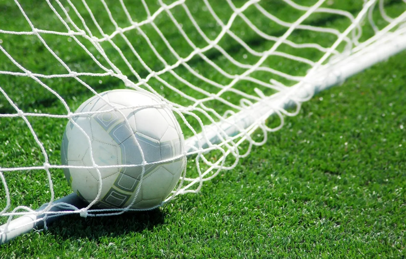 Photo wallpaper grass, mesh, lawn, football, the ball, gate, goal