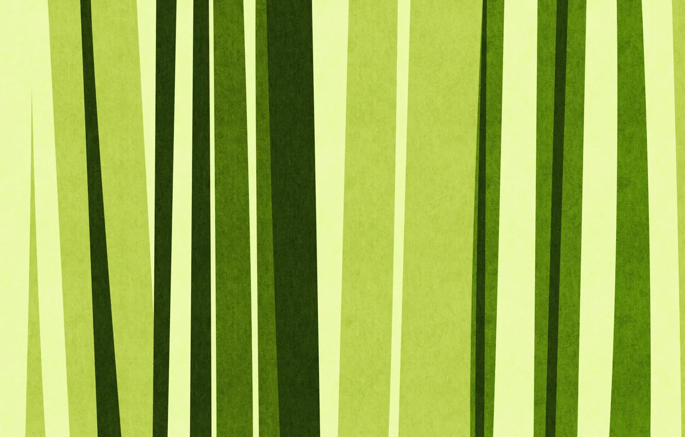 Photo wallpaper green, strip, texture, bamboo, Green, bamboo
