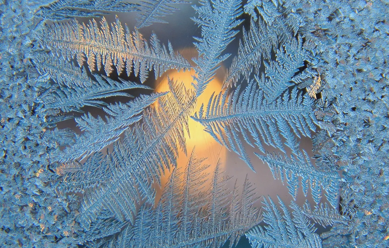 Photo wallpaper winter, frost, macro, frost, frost, patterns on the window
