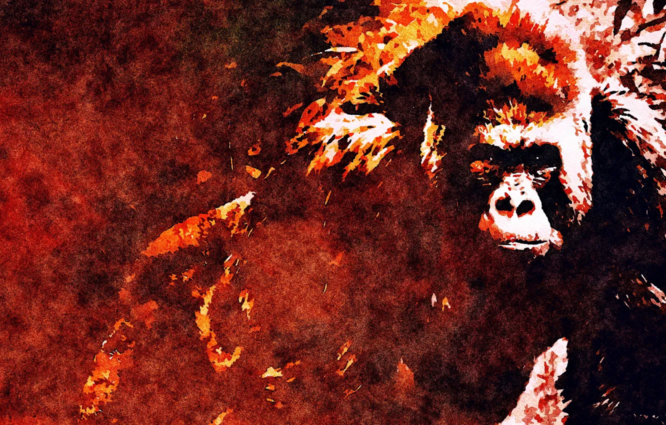 Photo wallpaper nature, art, painting, gorilla, picture, a monkey, graphic arts