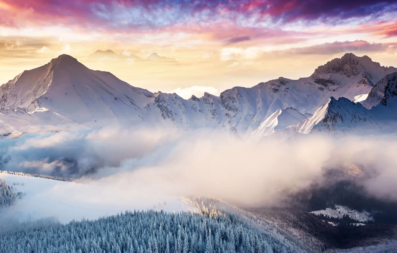 Photo wallpaper winter, forest, the sky, clouds, snow, mountains, nature, fog