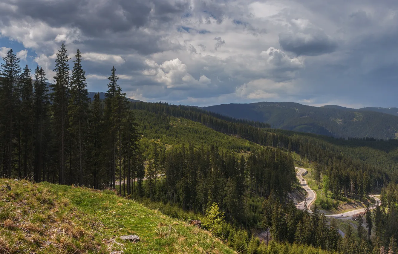 Photo wallpaper road, forest, mountains, serpent, Somewhere in Romania (Transrarau road)