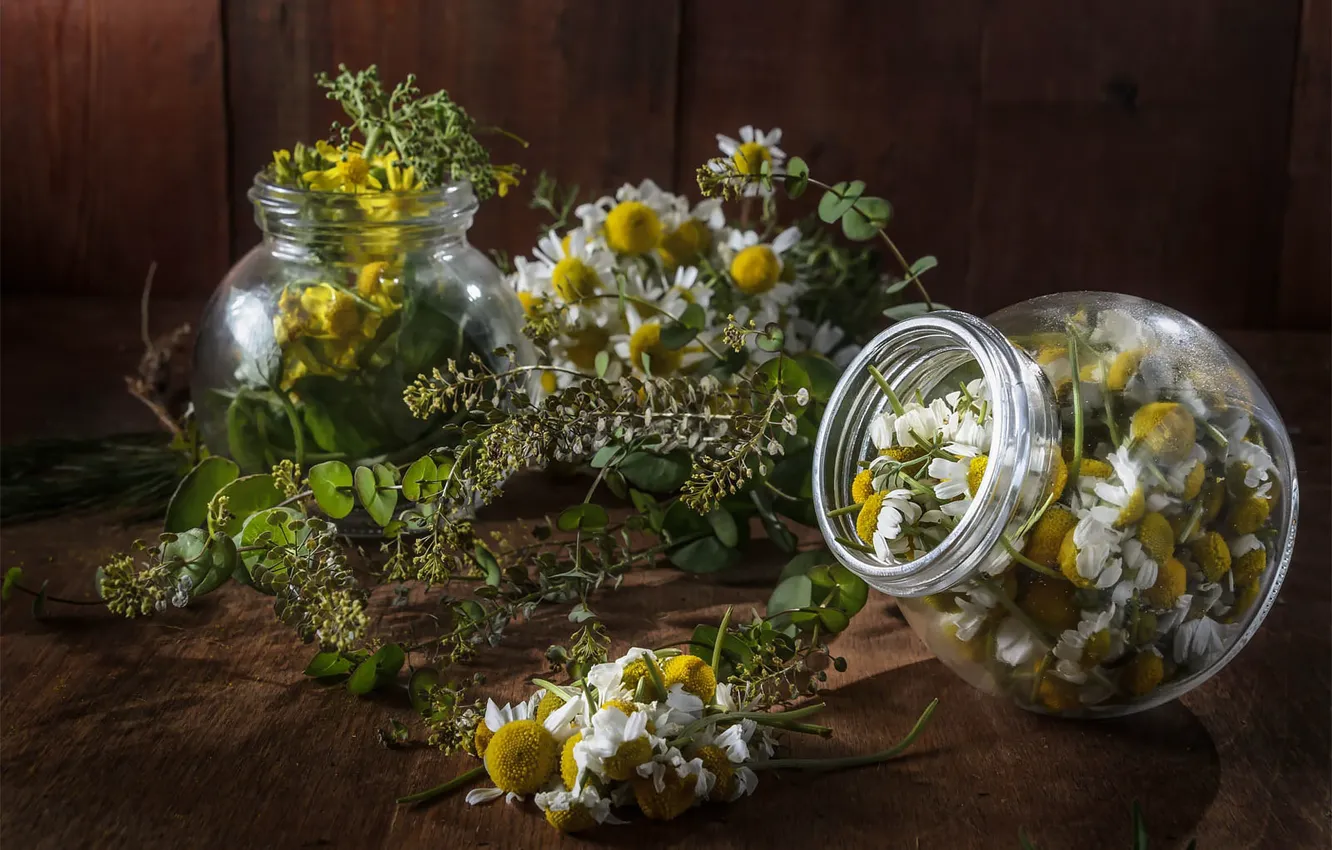 Photo wallpaper leaves, flowers, table, tea, Board, chamomile, Bank, banks