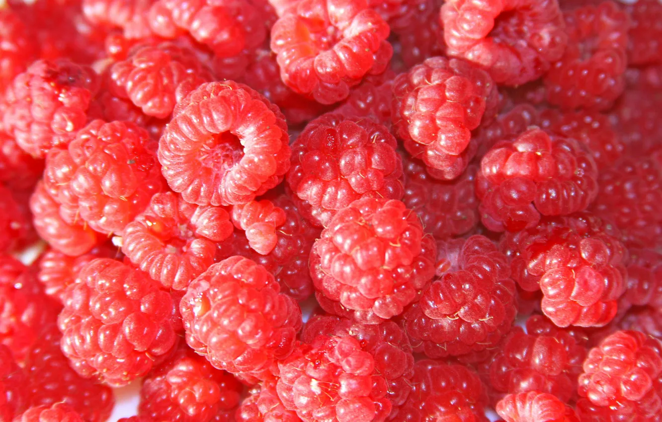 Photo wallpaper berries, raspberry, texture