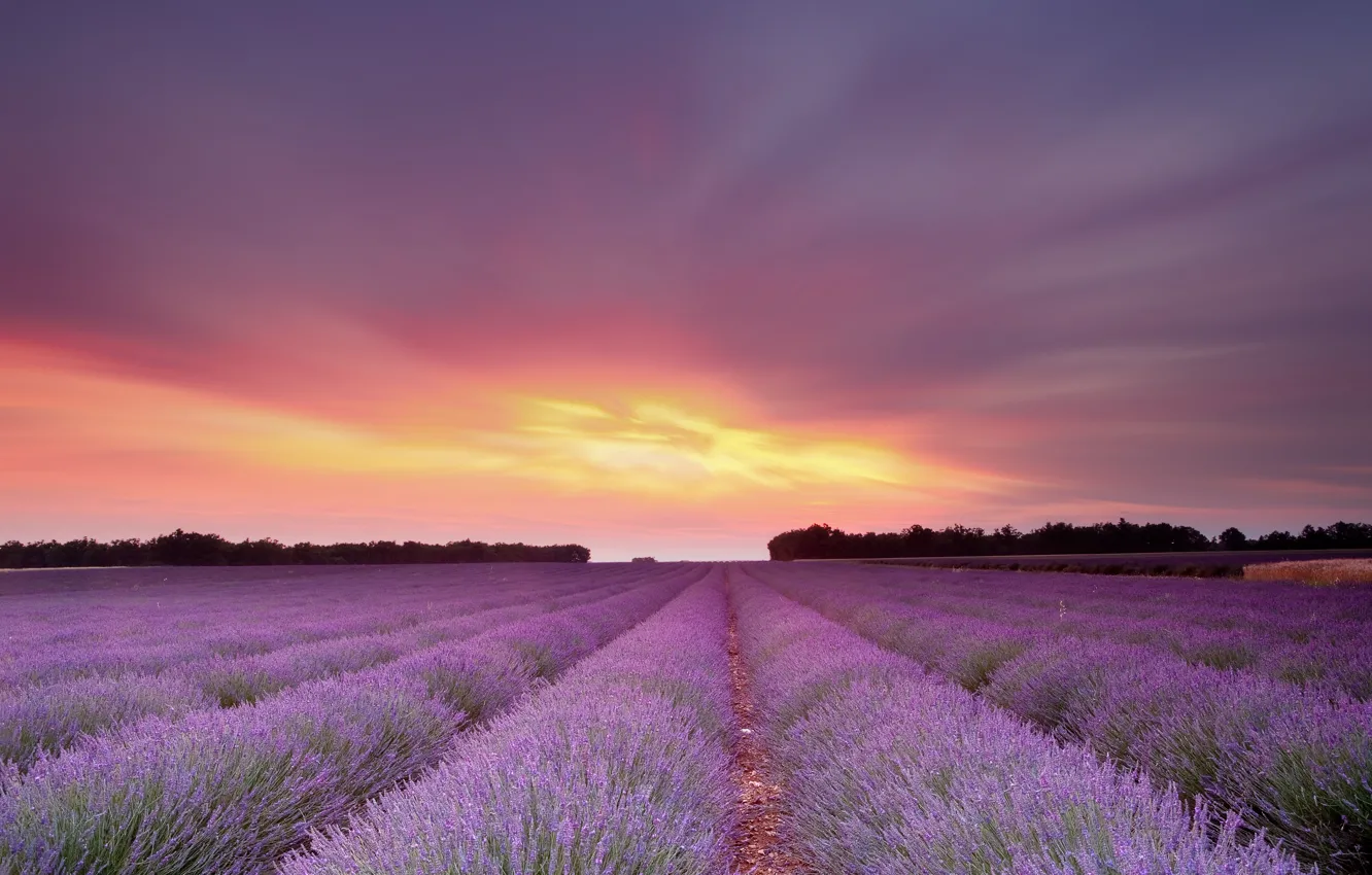 Photo wallpaper field, the sky, the sun, sunset, flowers, lavender