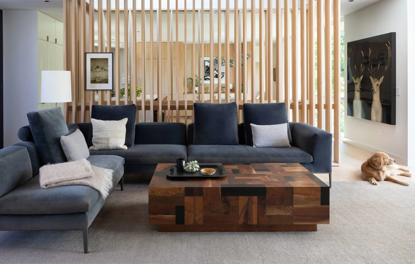 Photo wallpaper design, style, interior, sofa, living room, separation of space, Belmont Park