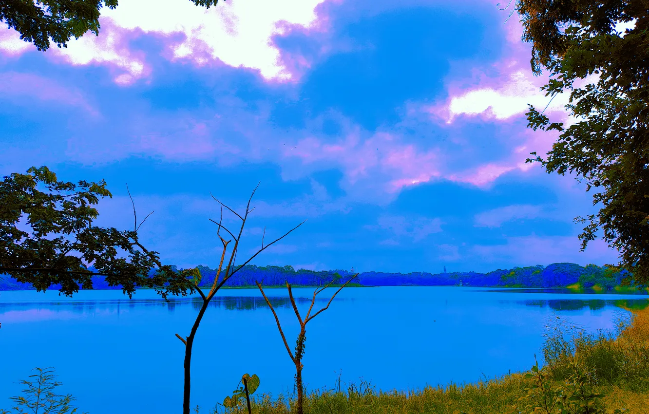 Photo wallpaper sky, trees, water, clouds, lake, morning, bushes, sunrise