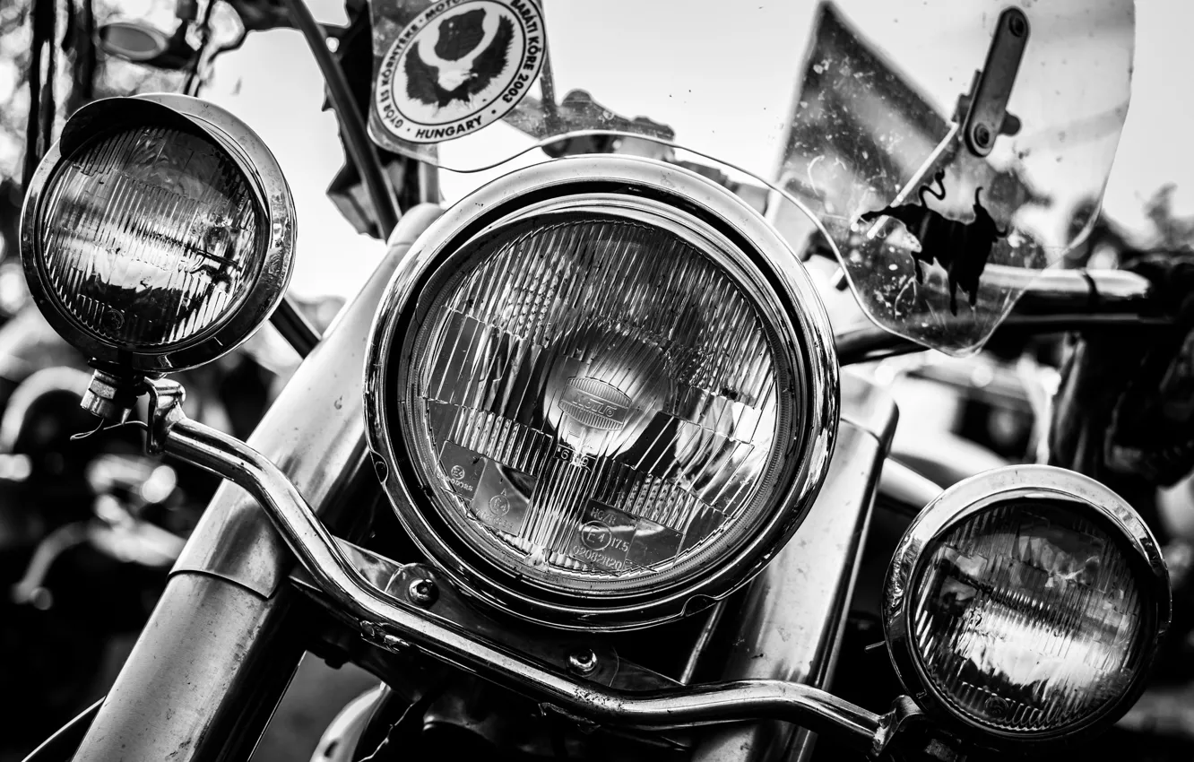 Photo wallpaper white, black, Harley-Davidson