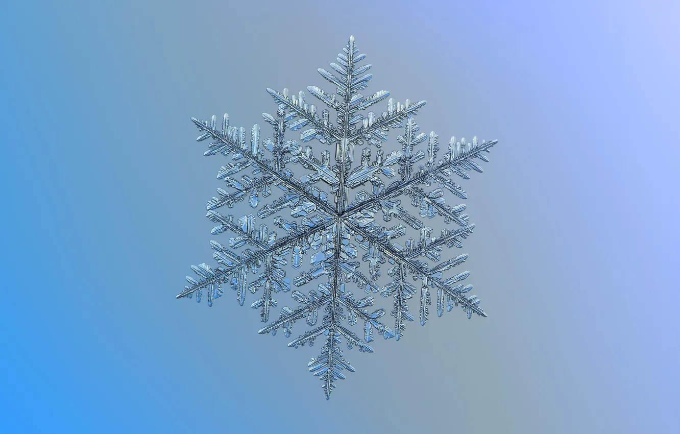 Photo wallpaper macro, background, pattern, snowflake