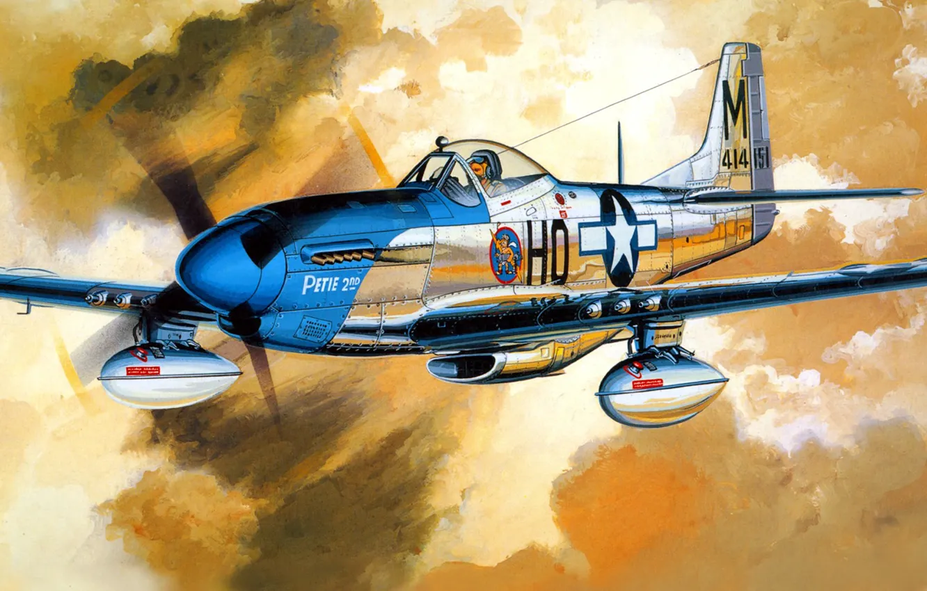 Photo wallpaper figure, Mustang, art, North American, P-51D