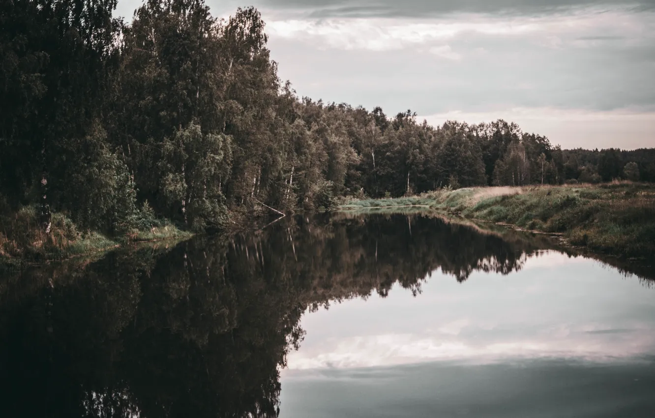 Photo wallpaper forest, trees, lake, river, village, village, the village, cottage