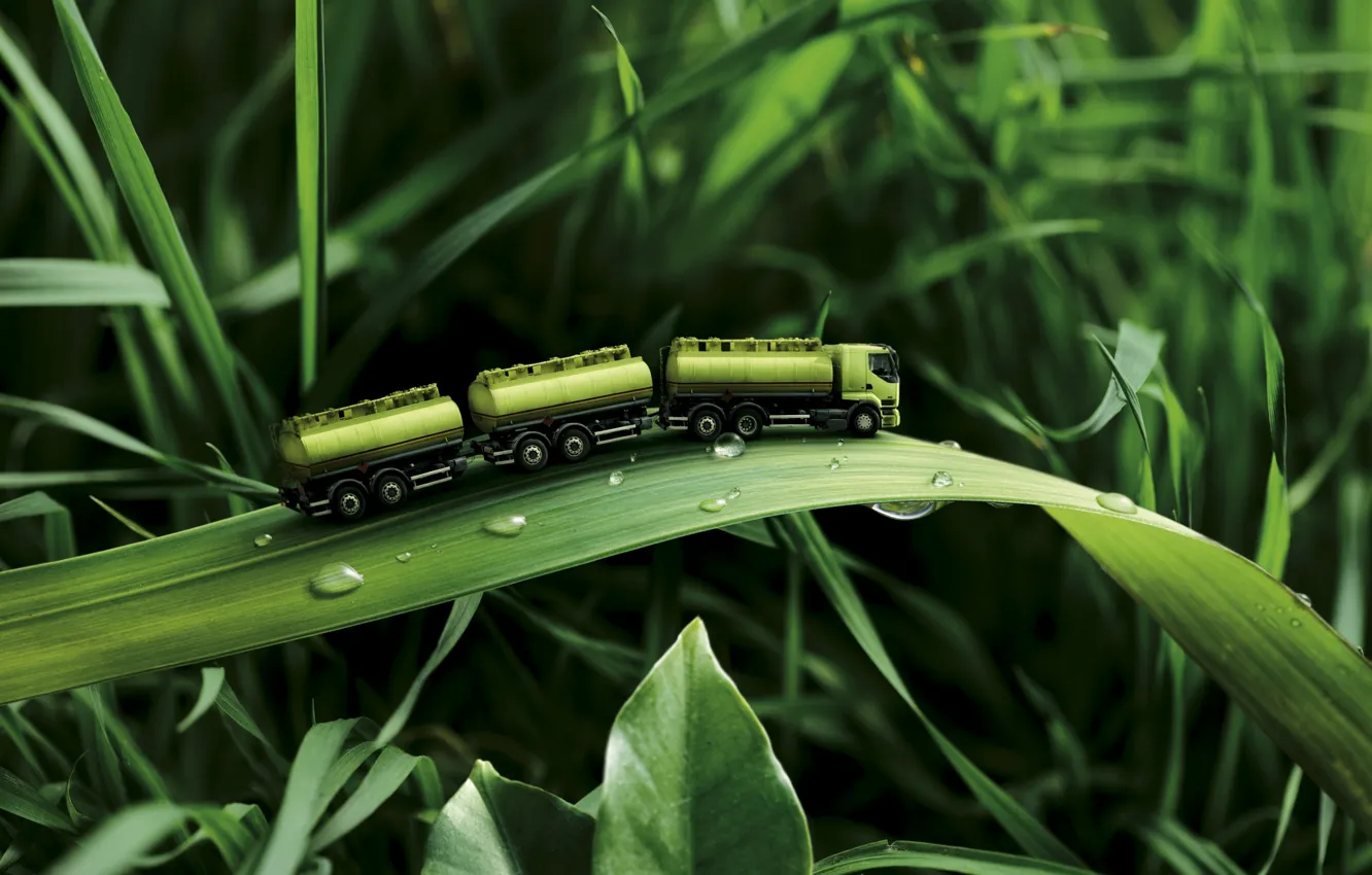 Photo wallpaper greens, machine, grass