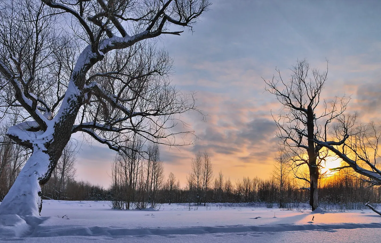 Photo wallpaper winter, snow, landscape