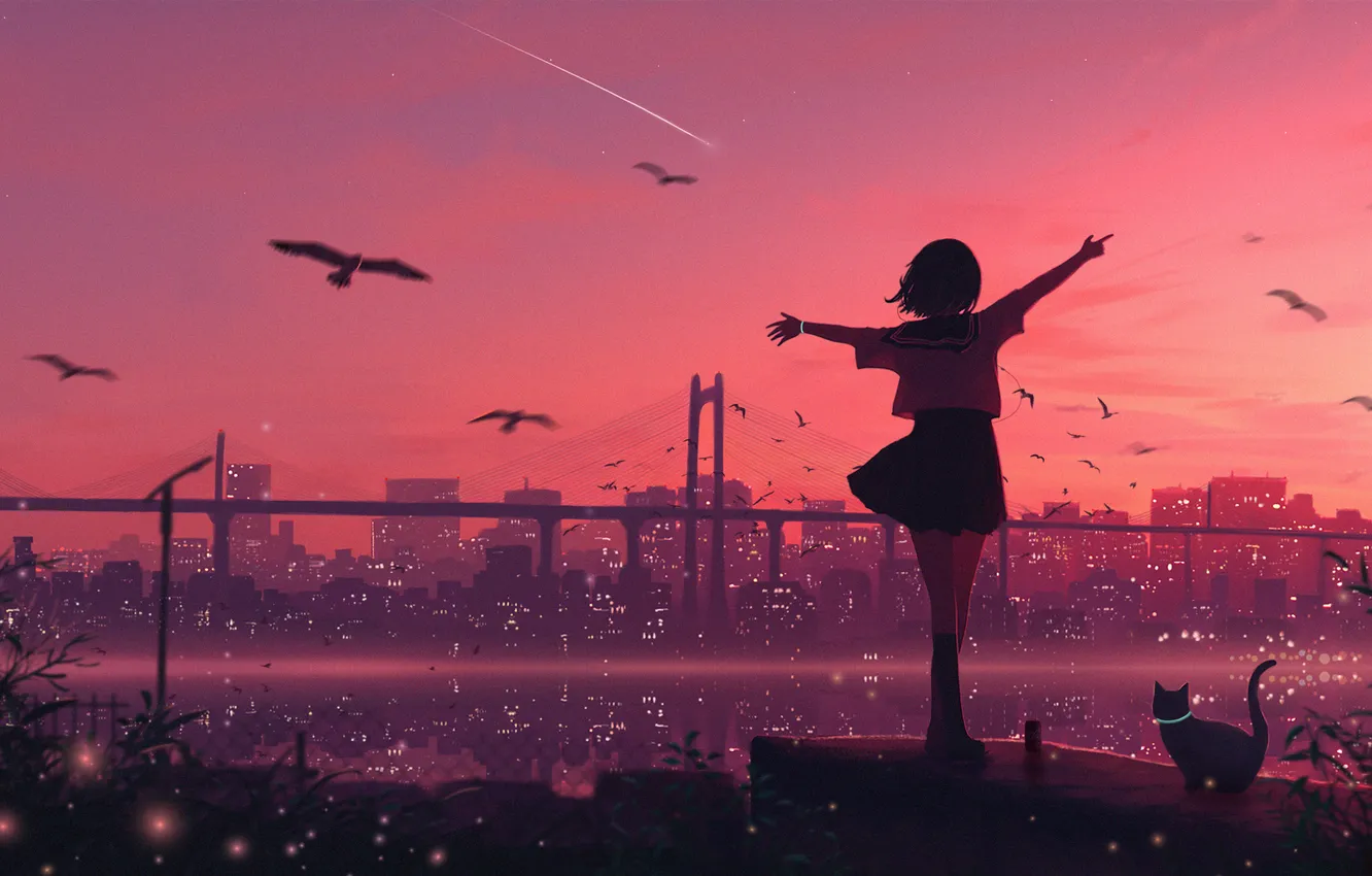 Photo wallpaper sea, the sky, cat, girl, sunset, the city, seagulls, shooting star