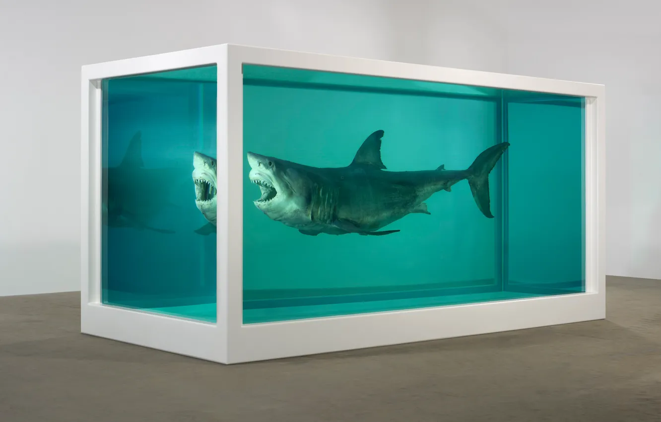 Photo wallpaper Shark, formalin, Damien Hirst, The physical impossibility of death in soznanii living