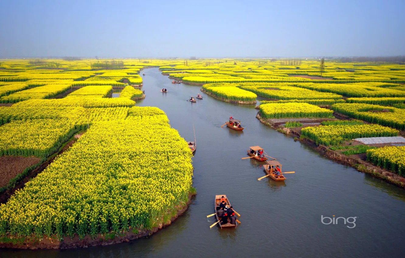 Photo wallpaper field, flowers, boat, people, horizon, channel