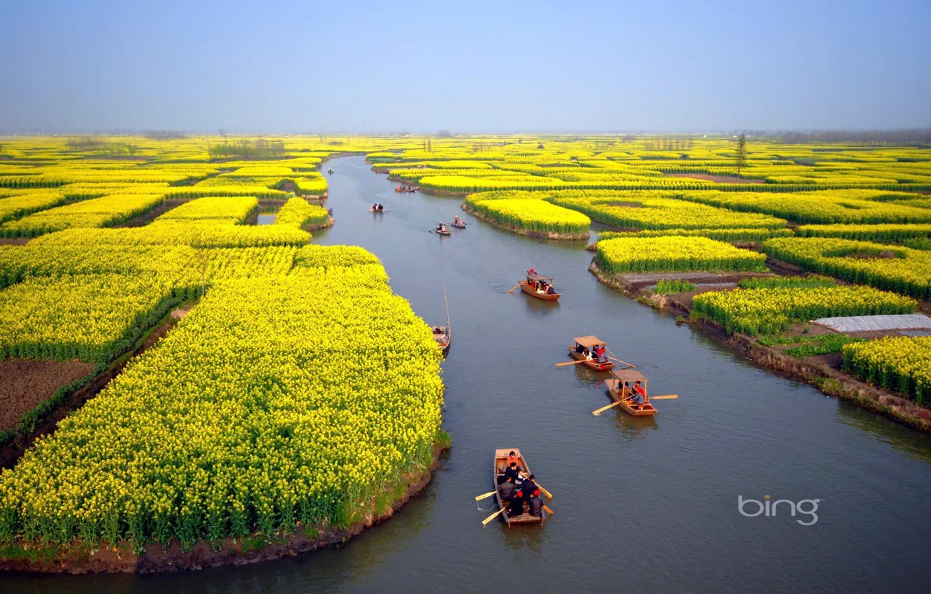 Photo wallpaper field, flowers, people, boats, horizon, channel