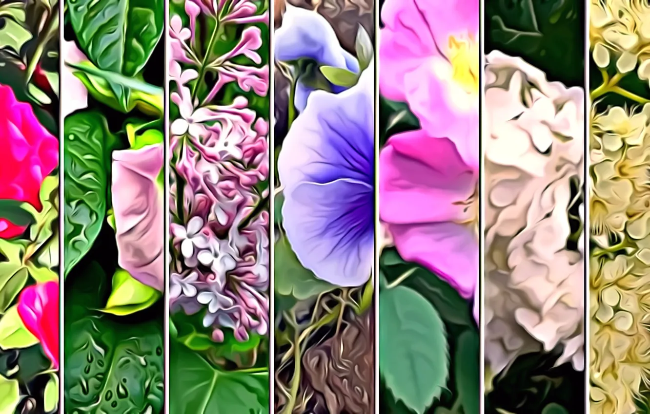 Photo wallpaper leaves, flowers, rendering, collage, petals, picture
