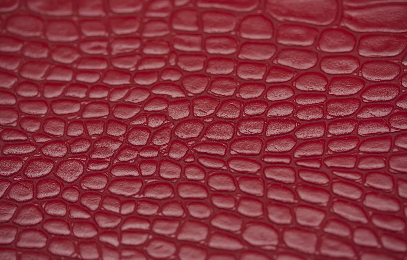 Photo wallpaper macro, texture, leather
