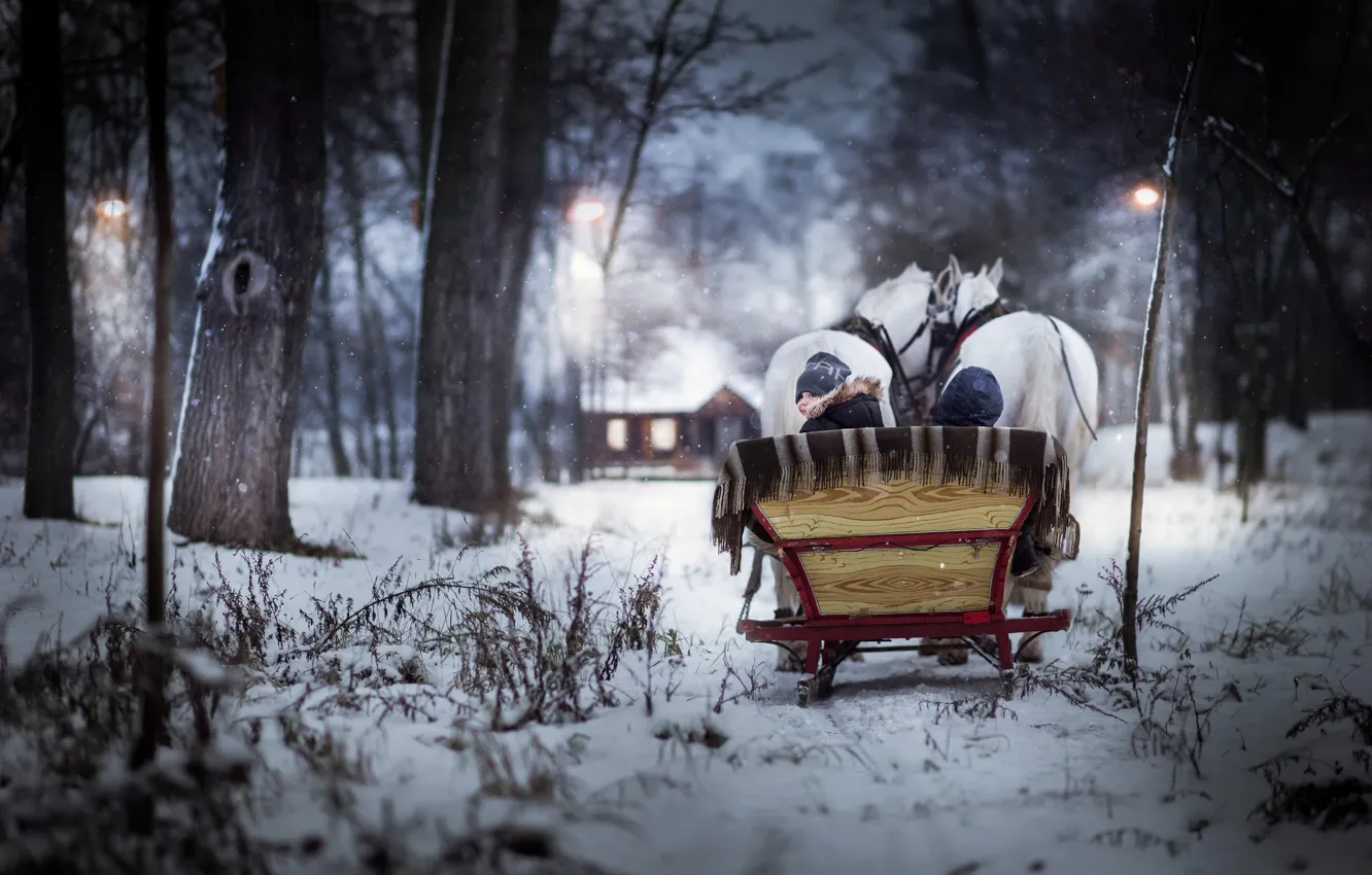 Photo wallpaper winter, horses, boy, sleigh